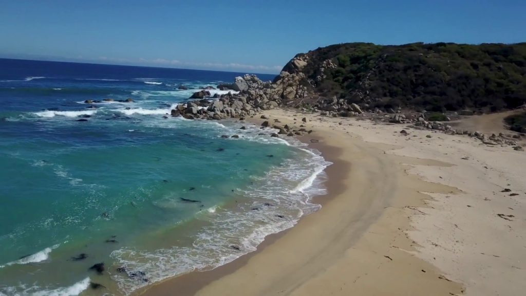 Playa Las Torpederas