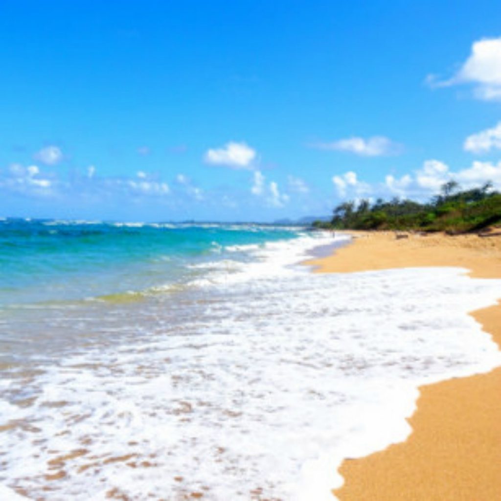 One of the top kauai beaches: Lydgate Beach