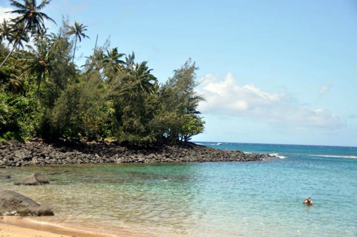 10 Best Beaches in Kauai 2020 - Daring Planet