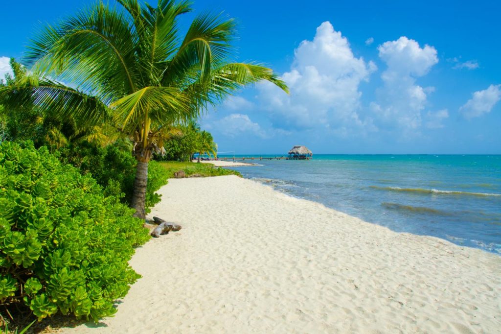 Hopkins Beach Belize