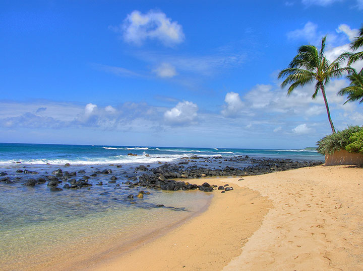 Laniakea Beach