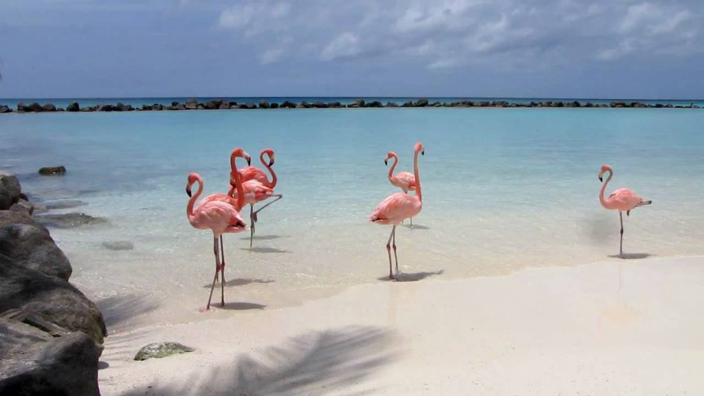 Renaissance Island on Aruba