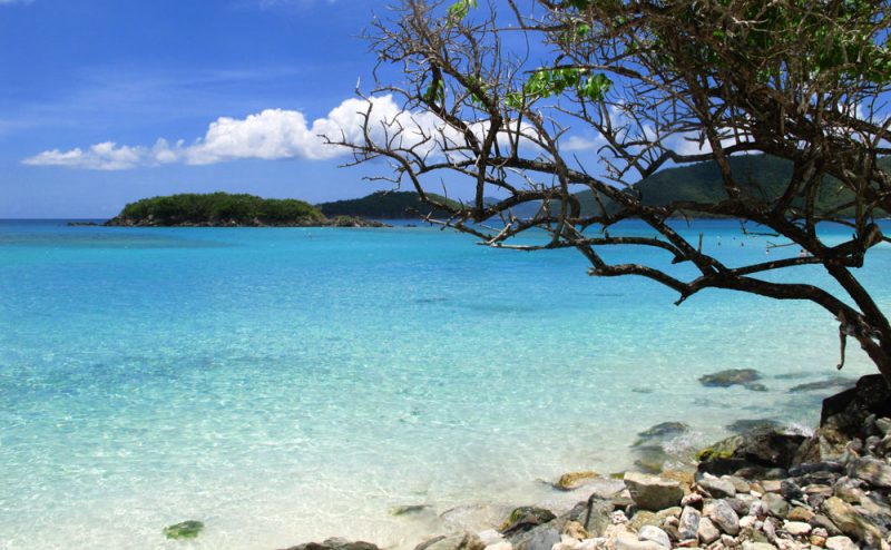 Transparent waters of Cinnamon Bay in St. John