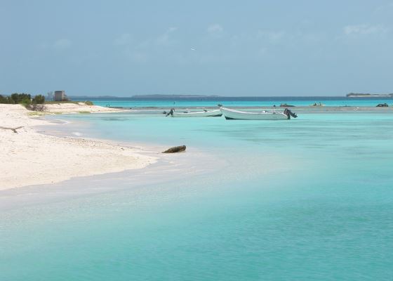 Light Blue waters at one of the top beaches of Venezuela, Los Roques