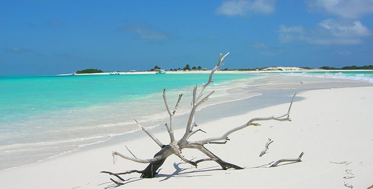 Shoreline view of Isla La Tortuga in Venezuela