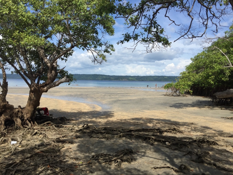 Nacascolo Beach