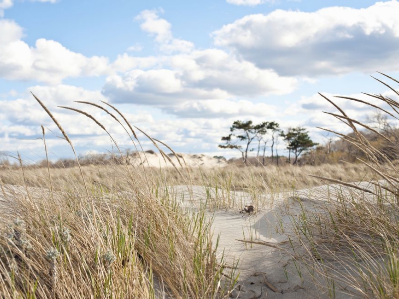 Sandy Point in Ipswich, Massachusetts