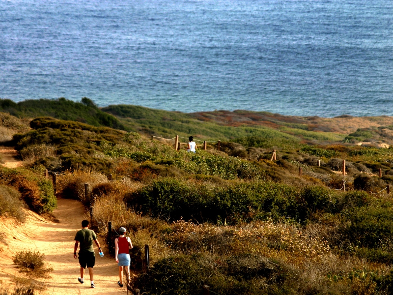 Hiking At Torrey Pines State Beach