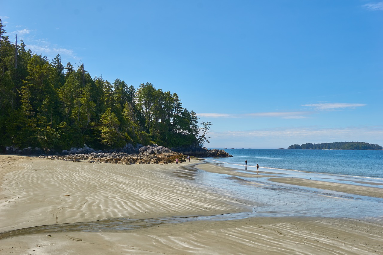 Tofino