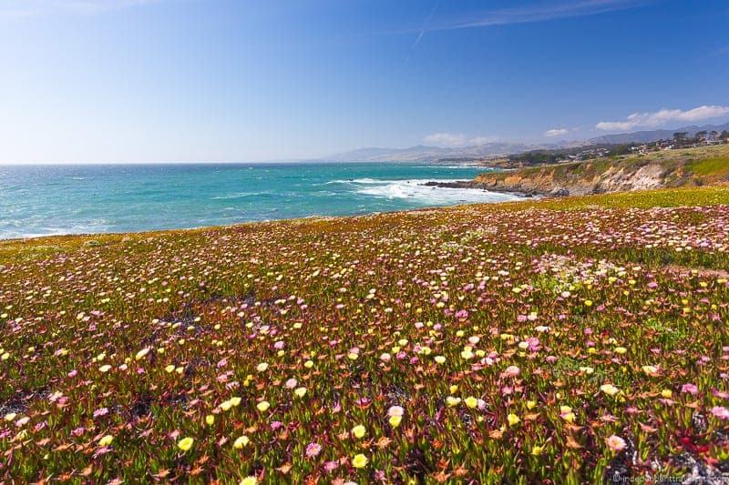 Cambria is a great stop on a California coast road trip