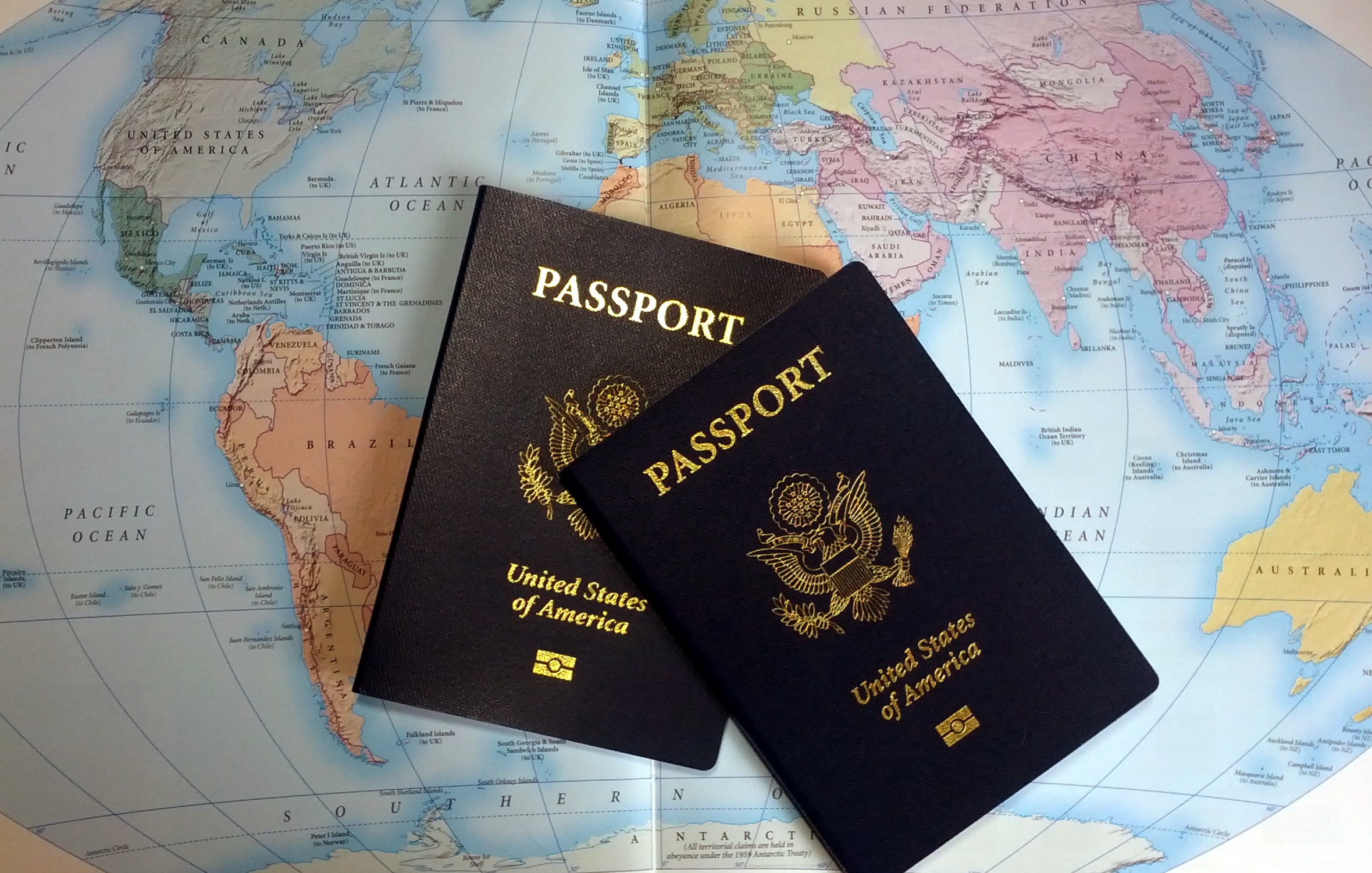 Passport Book vs Card Comparison Daring