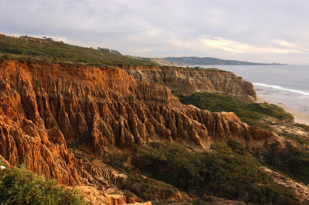 Forty miles East of San Diego, Torrey Pines State Park