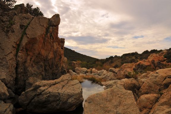 One of the hiking spots in San Diego with incredible views- Los Penasquitos Canyon