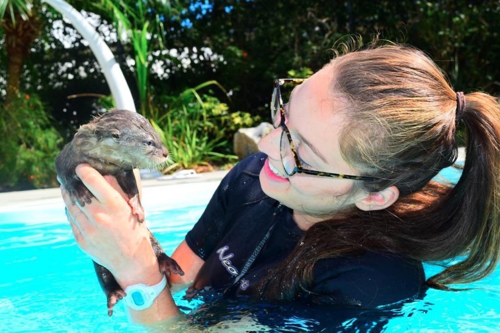 View of a woman holding an otter at Dade City's Wild Things in Florida