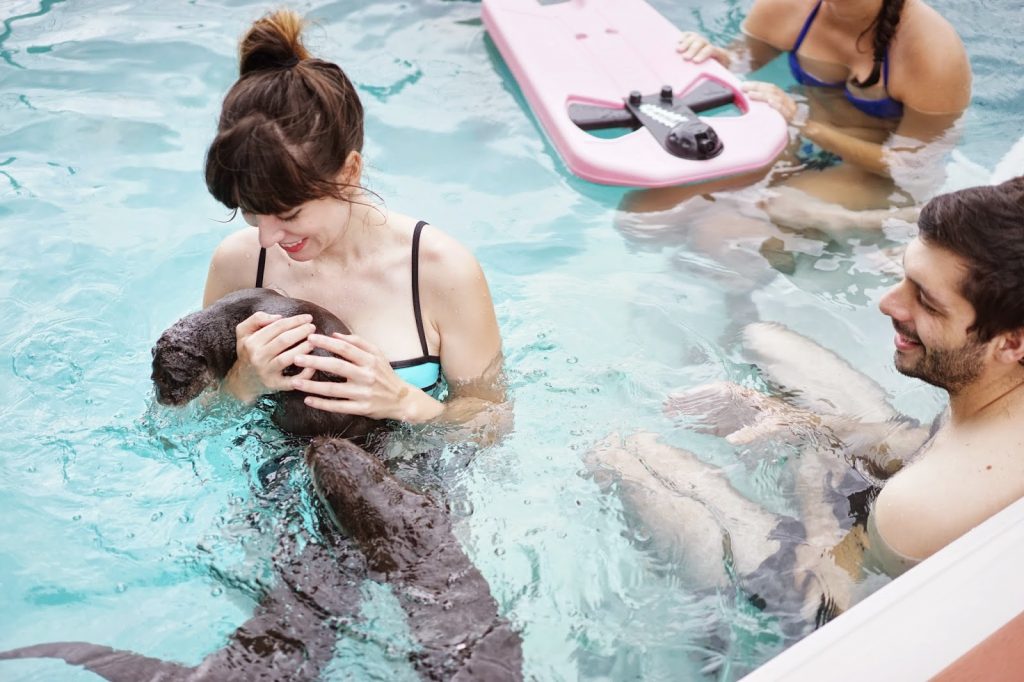 View of folks swimming with otters at Nurtured by Nature