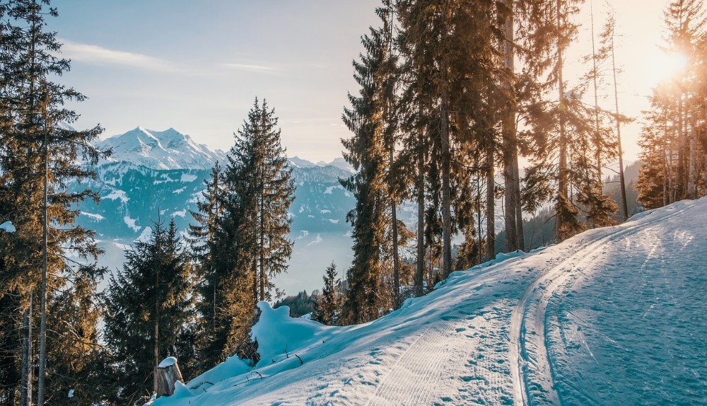 Canada Skiing