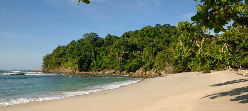 View of the beach next to to the tropical rainforest at Manuel Antonio in Costa Rica