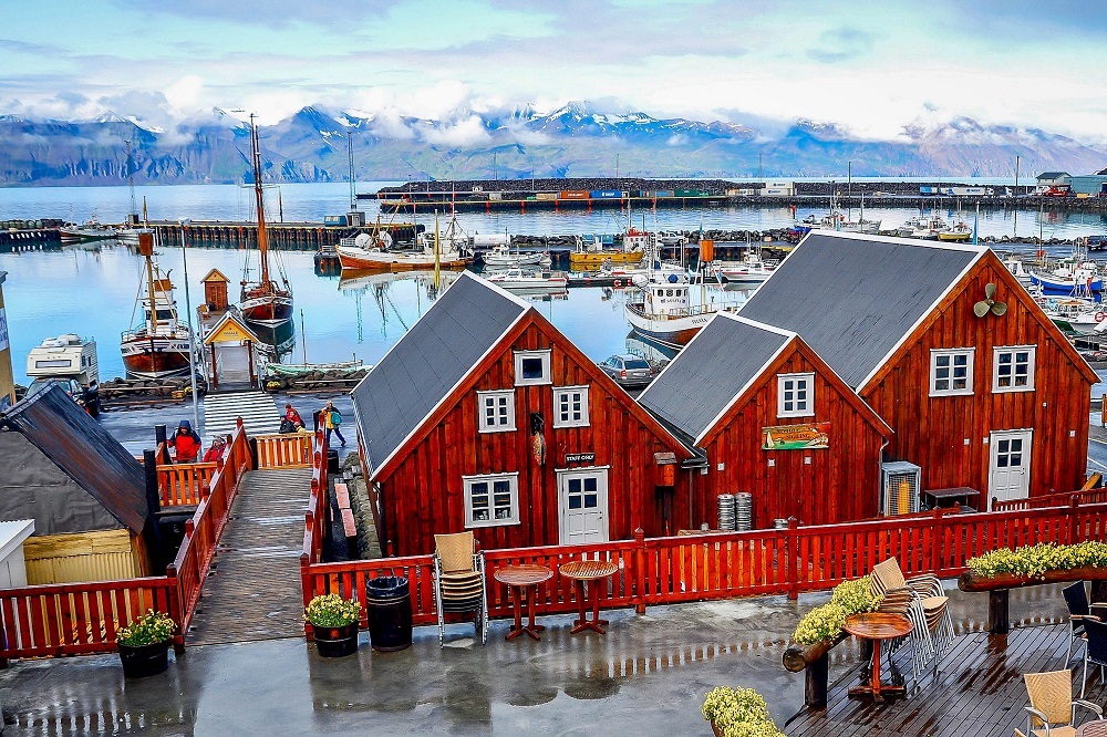 Red wooden buildings in a small and quaint whale-hunting village, Husavik